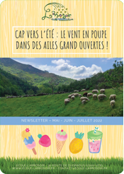 newsletter arrosoir ete 2022